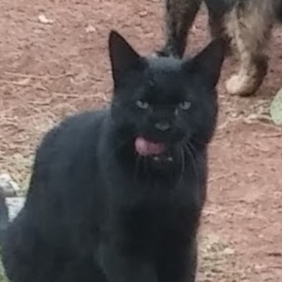 Meet your Posher, Christina - Picture 1 of 1